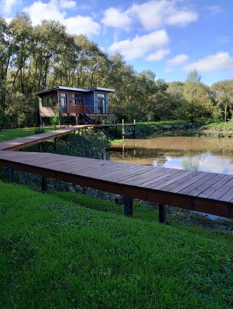 Lake view