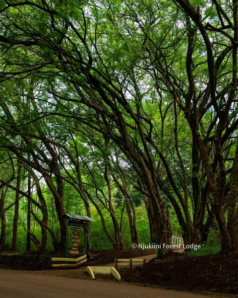 Natural landscape