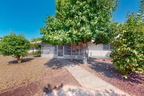 Property view
