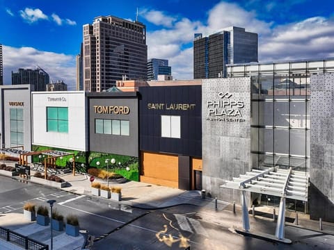 The Premium Buckhead Penthouse Apartment in Buckhead