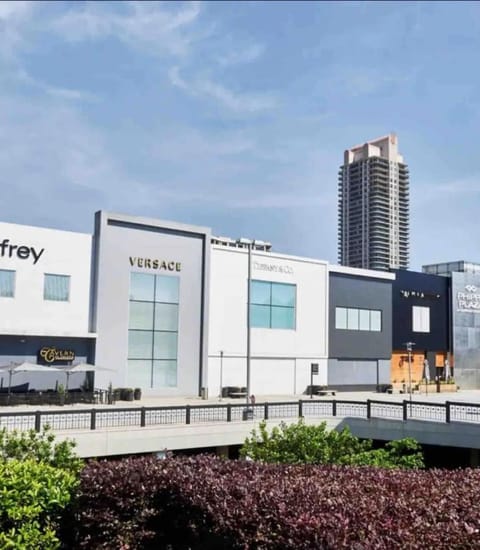 The Premium Buckhead Penthouse Apartment in Buckhead