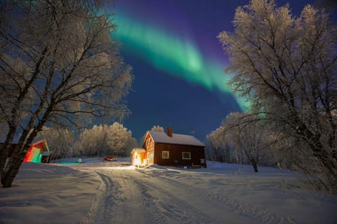 Property building, Winter