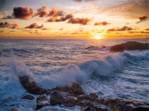 Natural landscape, Beach, Sunset