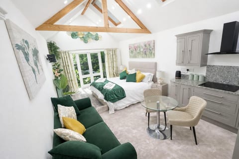 TV and multimedia, Kitchen or kitchenette, Living room, Photo of the whole room, Seating area, Dining area