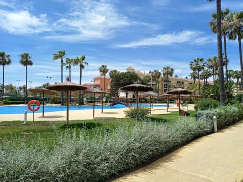 Spring, Day, Natural landscape, Garden, Garden view, Pool view, Swimming pool, sunbed