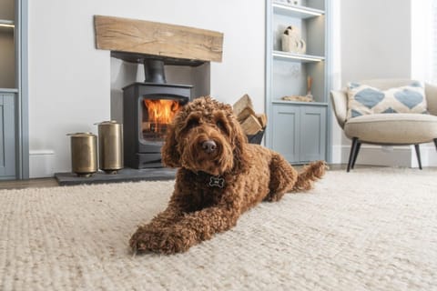 Living room, Seating area, Pets, pet friendly