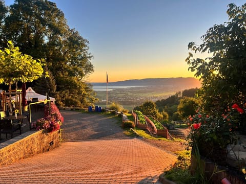 Lake view