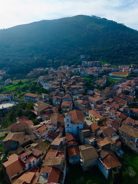 Neighbourhood, Mountain view