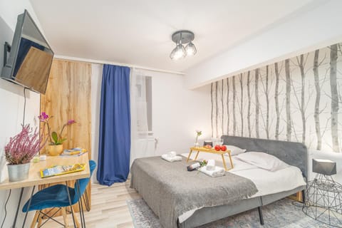 Bed, TV and multimedia, Living room, Photo of the whole room, Seating area, Bedroom, towels