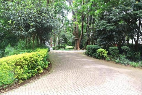 Neighbourhood, Natural landscape, Garden, Garden view