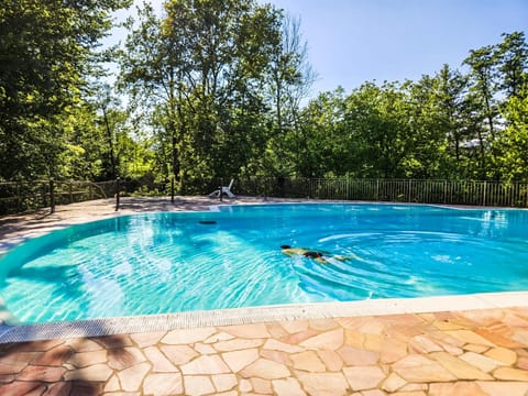 Spring, Day, Garden, Garden view, Pool view, Swimming pool, sunbed