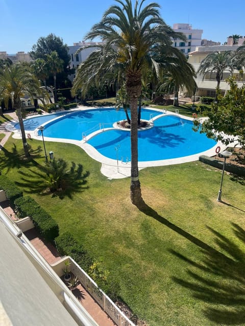 Garden, Swimming pool