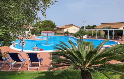 Garden, Garden view, Pool view, Swimming pool, sunbed