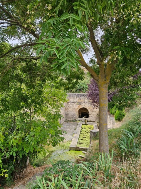 Natural landscape