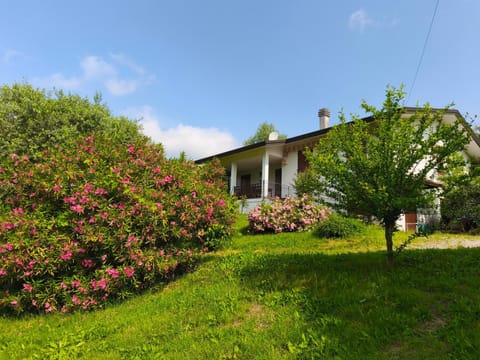 Property building, Garden, Garden view