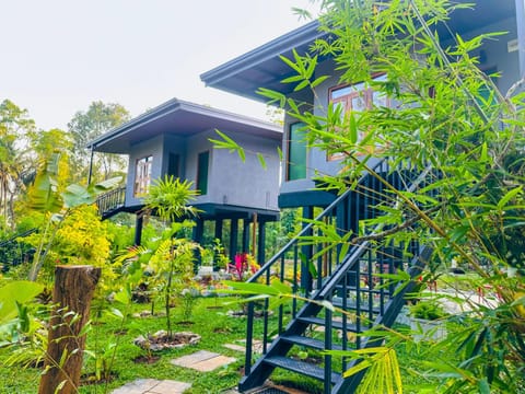 Property building, Spring, Day, Garden, Garden view