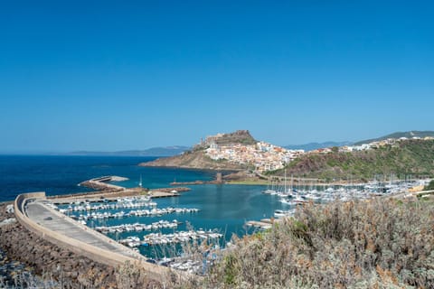 Spring, Bird's eye view