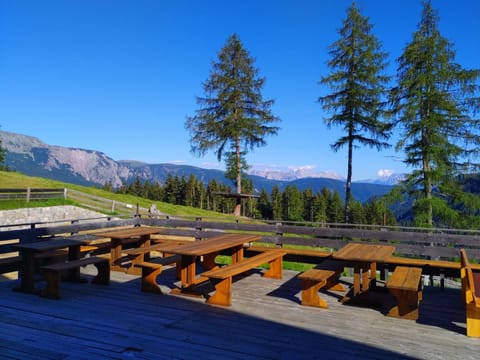 Restaurant/places to eat, Natural landscape