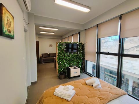 Bed, TV and multimedia, Photo of the whole room, towels, air conditioner