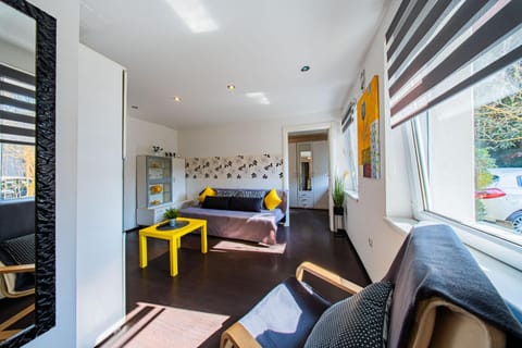 Bed, Living room, Photo of the whole room, Seating area