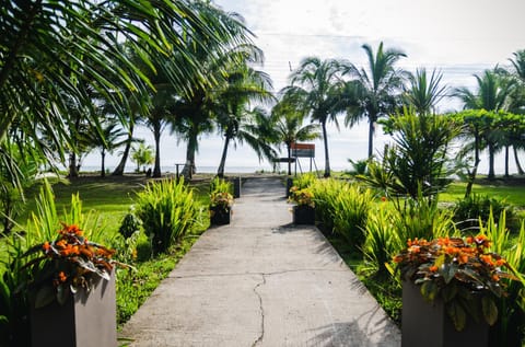 Restaurant/places to eat, Day, Natural landscape, Garden, Garden view