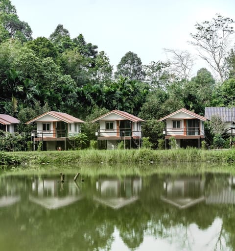 Property building, Day, Natural landscape