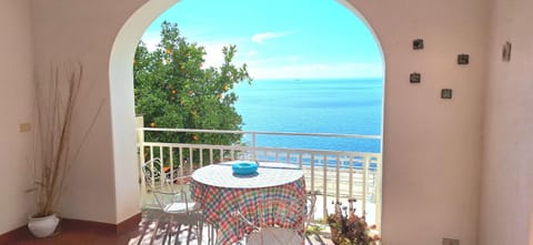 Les Paons - Villa Positano Villa in Positano