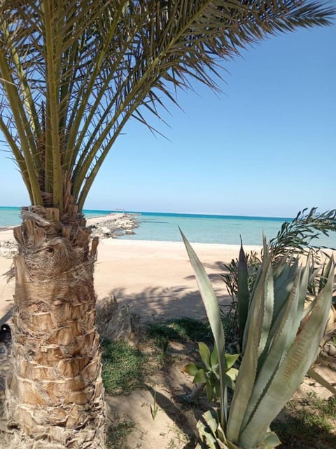 Nearby landmark, Natural landscape, Beach