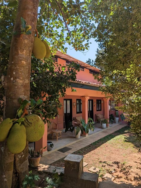 Property building, Garden view