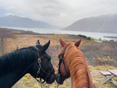 Home with a view Apartment in Nordland, Norway
