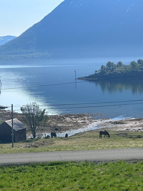 Home with a view Apartment in Nordland, Norway