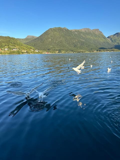 Home with a view Apartment in Nordland, Norway