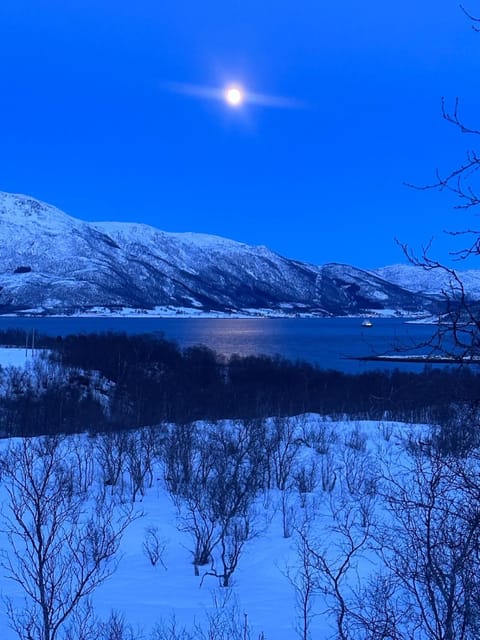 Home with a view Apartment in Nordland, Norway