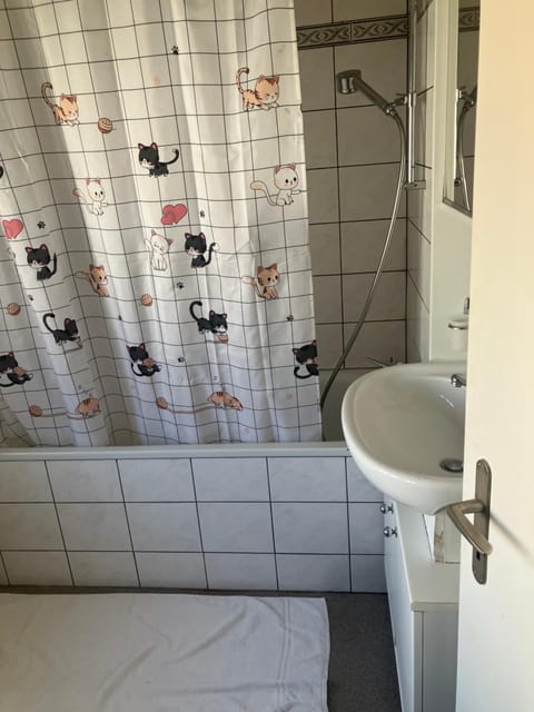 3 bedrooms Apartment with living room with kitchen onebathroom in St Galen Switzerland Apartment in St. Gallen