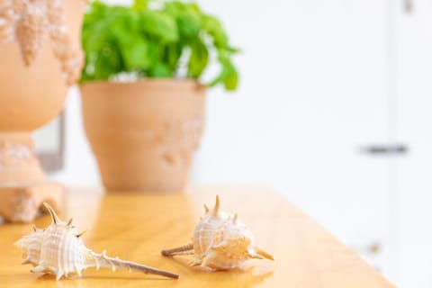 La Casetta Linda, luxury apartment Sorrento Apartment in Priora