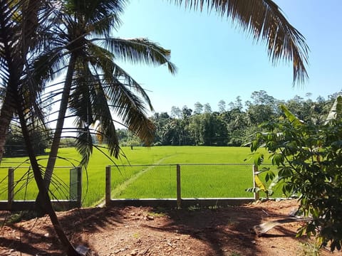 Day, Natural landscape, View (from property/room)