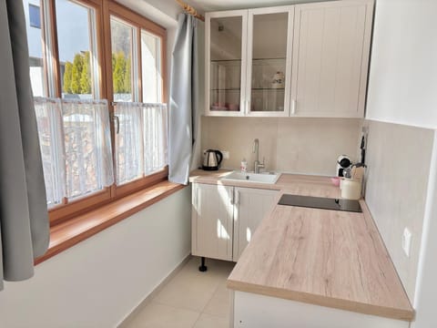 Kitchen or kitchenette, stove