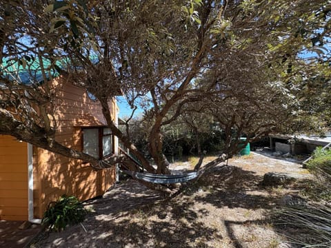 Property building, Garden, Garden view