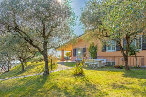 Patio, Garden, Garden view