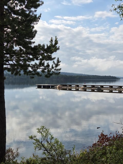 Lake view