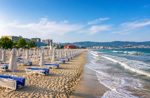 Day, Beach, sunbed