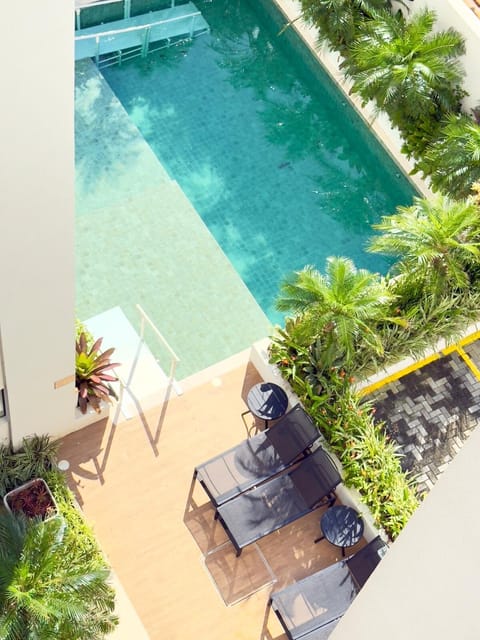 Garden, Pool view, Swimming pool, sunbed