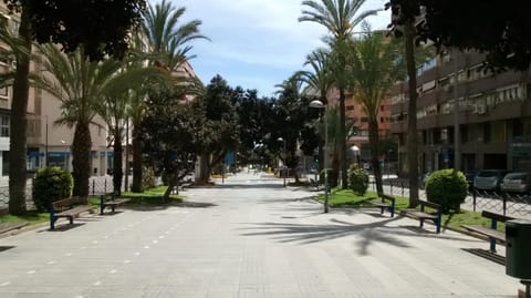 Property view
