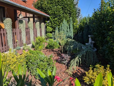Property building, Summer, Garden