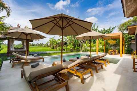 Pool view, Swimming pool, sunbed