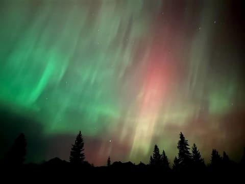 Secluded Off-Grid Cabin with Glacier Park Views and Wall Tents near Polebridge, Montana Cabin in Glacier National Park