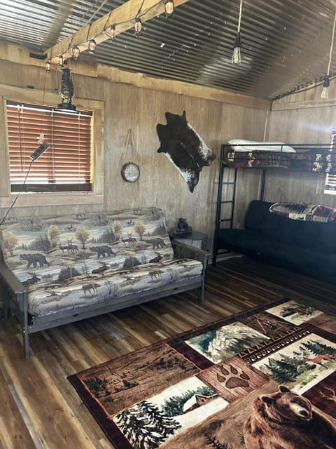 Secluded Mountain Cabin with 20 Private Acres Near Pintler Mountains, Anaconda, Montana Cabin in Anaconda