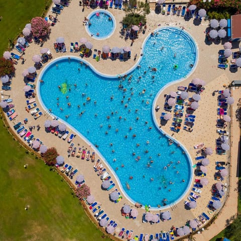 Day, Bird's eye view, Swimming pool, Swimming pool, sunbed