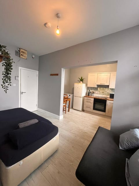 Kitchen or kitchenette, Bedroom