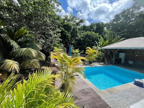 Spring, Day, Natural landscape, Garden, Garden view, Pool view, Swimming pool, sunbed